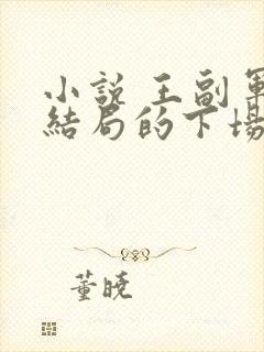 小说 王副军长结局的下场