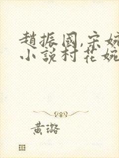 赵振国,宋婉清小说村花婉儿