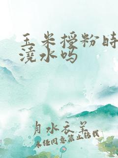 玉米授粉时间能浇水吗