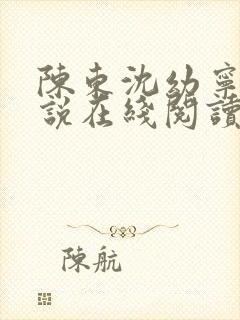 陈东沈幼宁的小说在线阅读