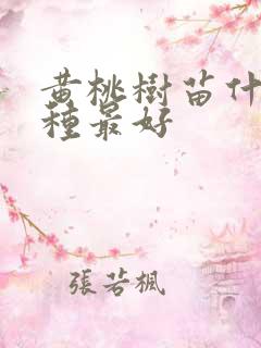 黄桃树苗什么品种最好
