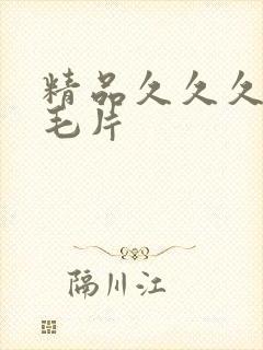 精品久久久久久毛片