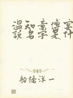 温知意傅宴琛小说名字是什么