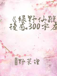 《绿野仙踪》读后感300字左右