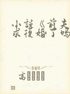 小说《前夫今天求复婚了吗》