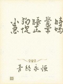 小狗睡觉时呼吸急促正常吗