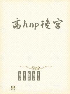 高hnp后宫