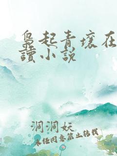 枭起青壤在线阅读小说