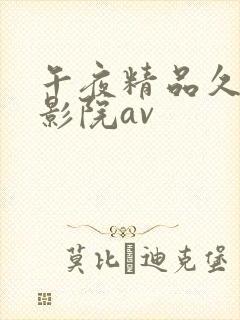 午夜精品久久久影院av