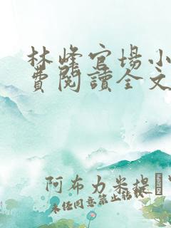 林峰官场小说免费阅读全文最新章节下载