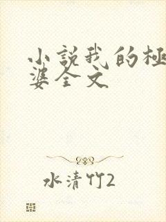 小说我的极品老婆全文
