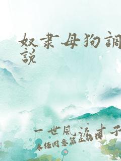 奴隶母狗调教小说