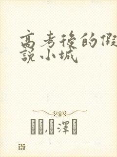 高考后的假期小说小城