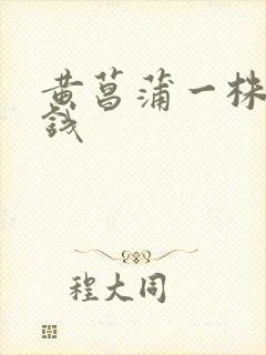 黄菖蒲一株多少钱