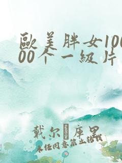 欧美胖女10000个一级片