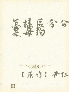 怎样区分公狗还是母狗