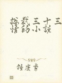 总裁三十三日索情的小说