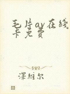 毛片av在线不卡免费