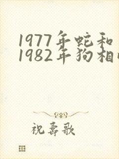 1977年蛇和1982年狗相配吗