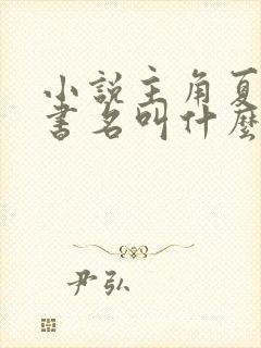 小说主角夏天的书名叫什么