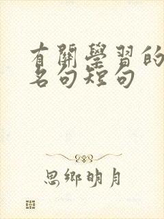 有关学习的名言名句短句