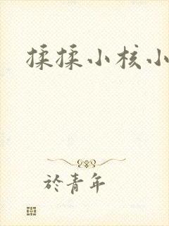 揉揉小核小说