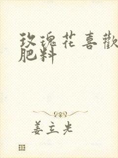 玫瑰花喜欢什么肥料