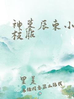 神墓辰东小说精校版
