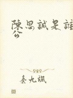 陈思诚是谁的老公