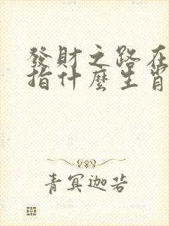 发财之路在脚下指什么生肖