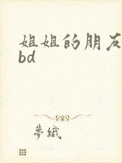 姐姐的朋友视频bd