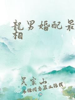 龙男婚配最佳属相