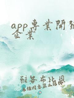 app专业开发企业