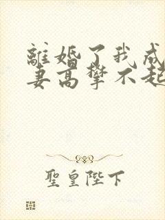 离婚了我成了前妻高攀不起的人小说