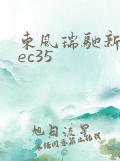 东风瑞驰新能源ec35