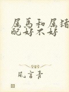 属马和属猪的婚配好不好