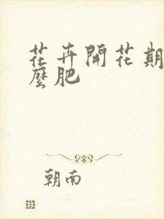 花卉开花期施什么肥