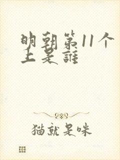 明朝第11个皇上是谁