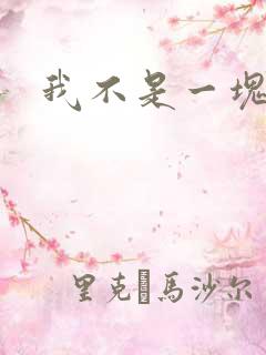 我不是一块石头