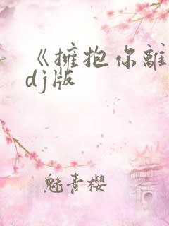 《拥抱你离去》dj版