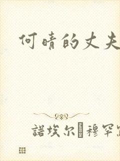 何晴的丈夫是谁
