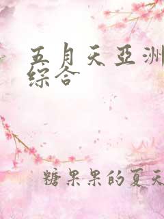 五月天亚洲婷婷综合