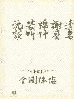 沈若棉谢清樾小说叫什么名字
