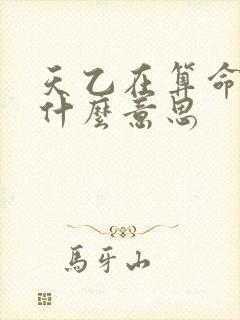 天乙在算命中是什么意思