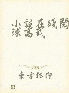 小说在线阅读全球高武