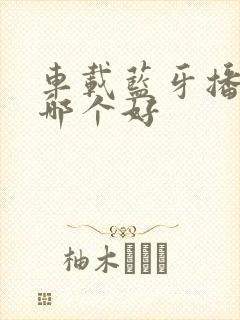 车载蓝牙播放器哪个好