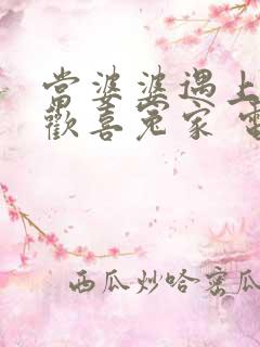 当婆婆遇上妈之欢喜冤家 电视剧