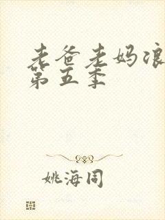 老爸老妈浪漫史第五季 老爸老妈浪漫史第五季