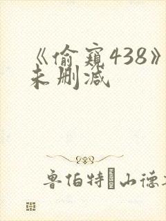 《偷窥438》未删减