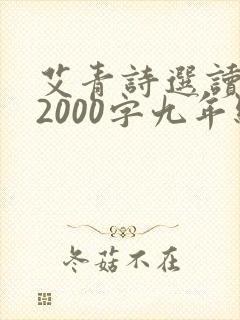 艾青诗选读后感2000字九年级